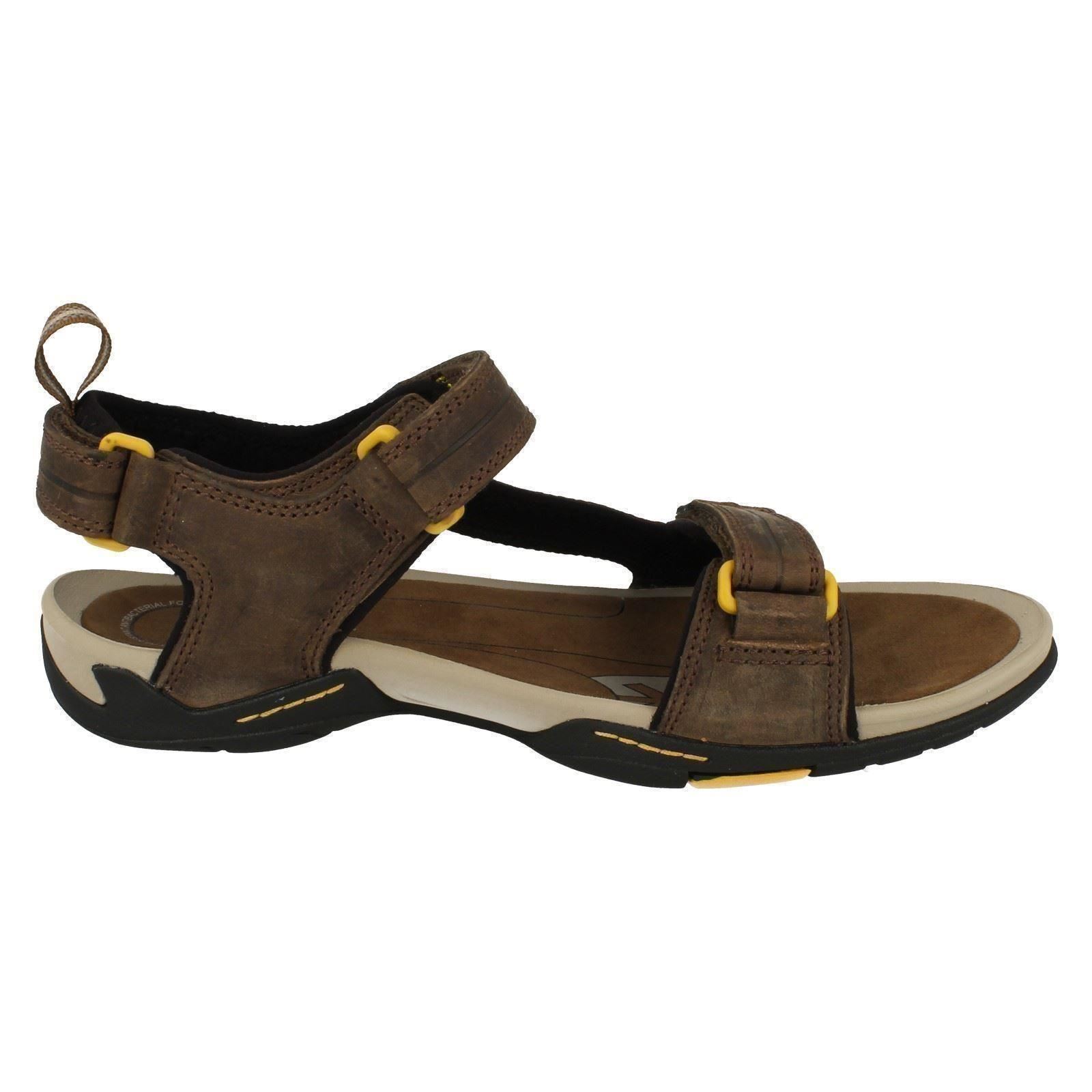 Witham Clarks Shoes Witham Clarks Shoes
