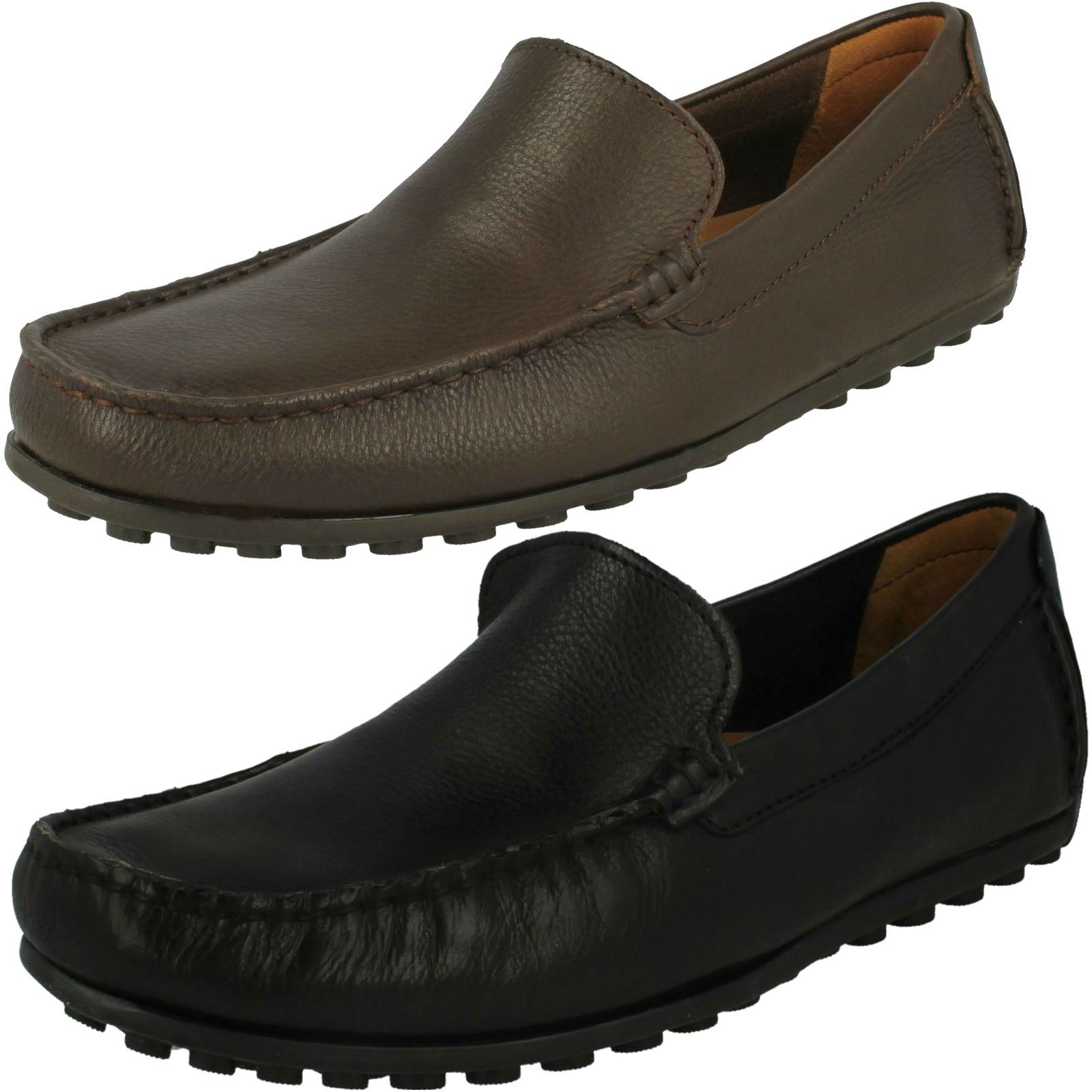 clarks shoes hamilton
