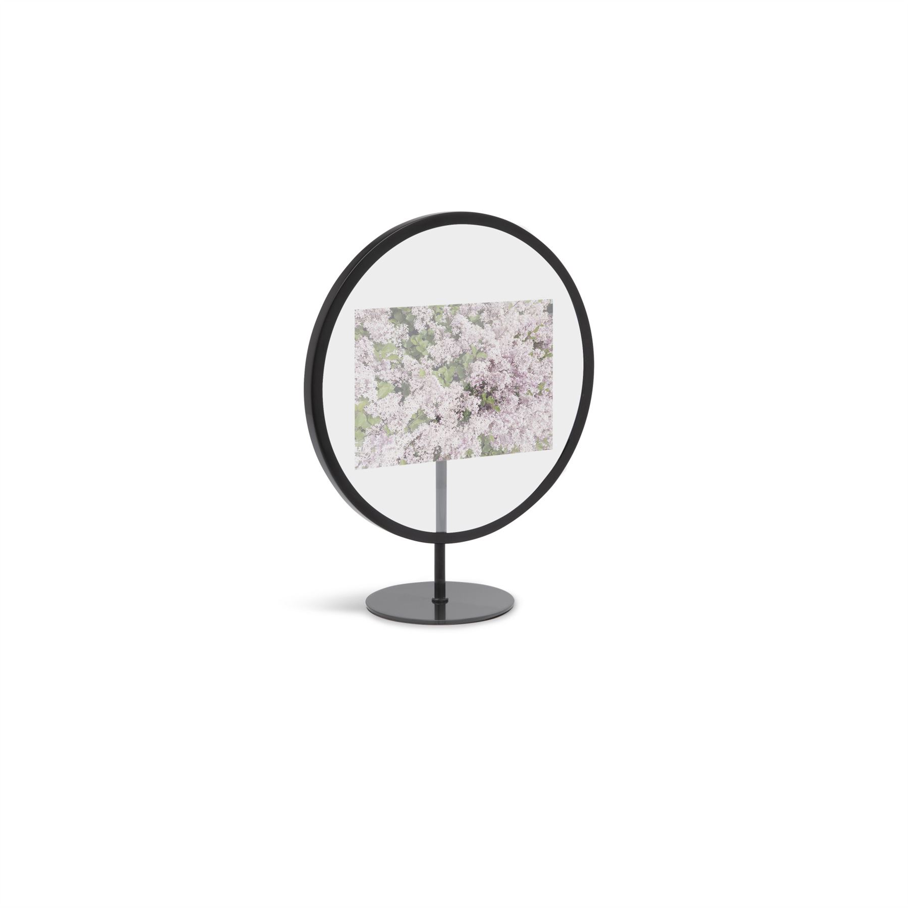 Umbra Infinity 3D Circular Photo Frame Wall or Free Standing Ideal