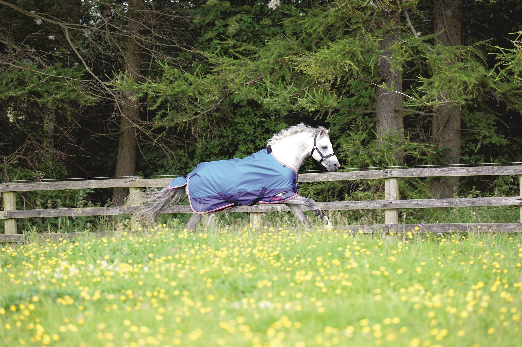 Horse Fleece Turnout Rug Lightweight Waterproof Stable Travel No Fill Blanket - Picture 3 of 9