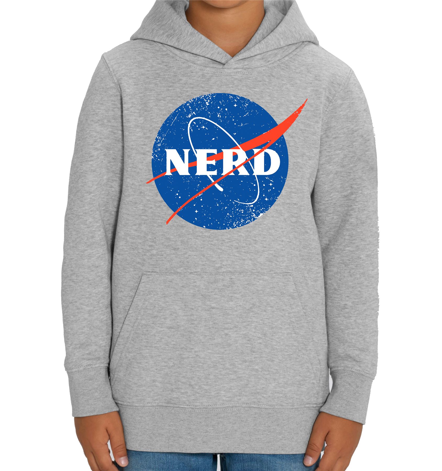 hoodie nasa grey