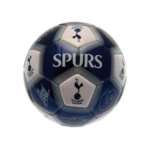Tottenham Hotspur F.C. Skill Ball Signature Gift | eBay
