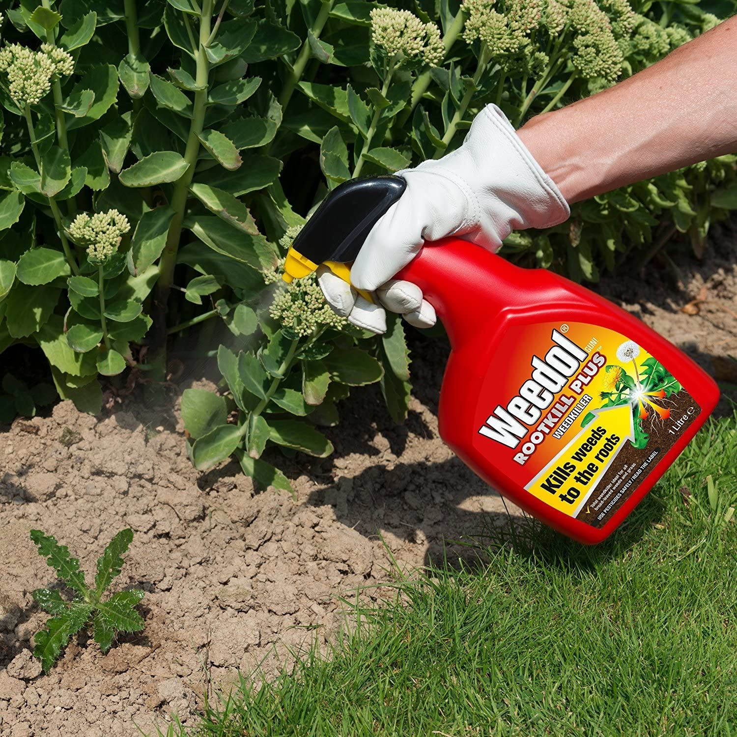 WEEDOL DOUBLE ACTION GARDEN WEEDKILLER SPRAY KILLSROOTS & PREVENTS WEEDS 1LITRE eBay