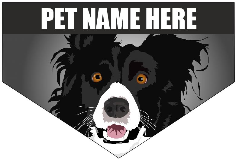 Dog/Pet Bandana - Border Collie (CAN BE CUSTOMISED) - Picture 5 of 10