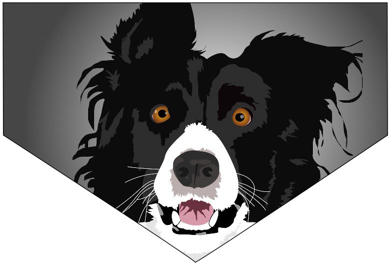 Dog/Pet Bandana - Border Collie (CAN BE CUSTOMISED) - Picture 6 of 10