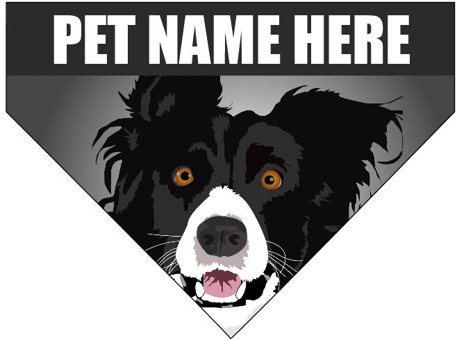 Dog/Pet Bandana - Border Collie (CAN BE CUSTOMISED) - Picture 8 of 10