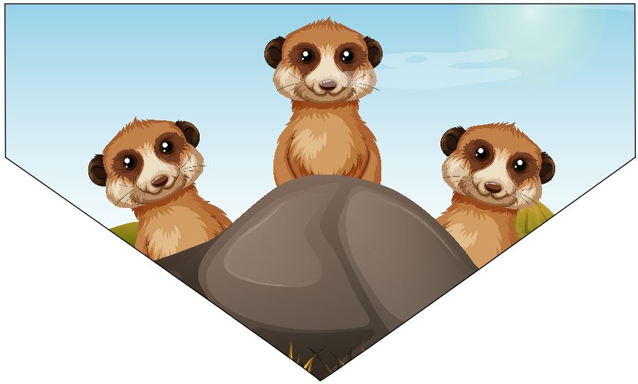 Bandana Perro/Mascota - Familia Suricata (SE PUEDE PERSONALIZAR) - Imagen 3 de 7