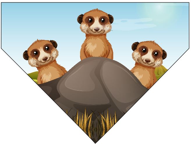 Bandana Perro/Mascota - Familia Suricata (SE PUEDE PERSONALIZAR) - Imagen 6 de 7