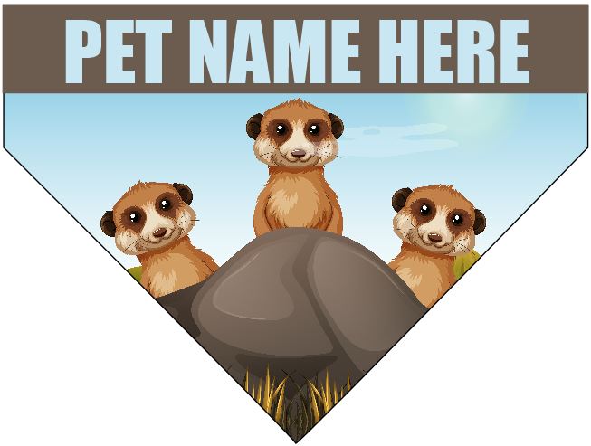 Bandana Perro/Mascota - Familia Suricata (SE PUEDE PERSONALIZAR) - Imagen 5 de 7