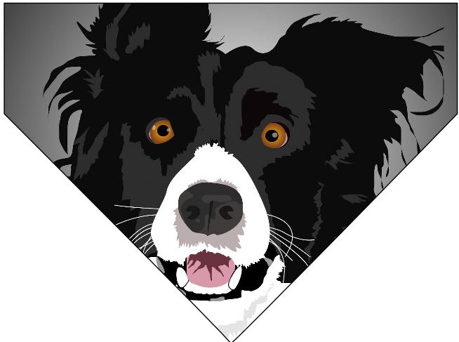 Dog/Pet Bandana - Border Collie (CAN BE CUSTOMISED) - Picture 9 of 10