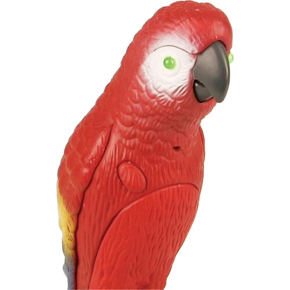 Talking Polly Parrot Gift Toy Repeats What Is Said to It for sale