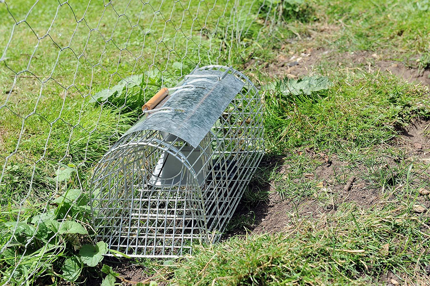 Large 41cm Multi Catch Humane Live Rat Metal Trap Cage No Poison