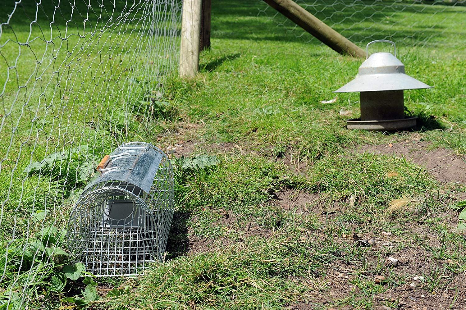 Large 41cm Multi Catch Humane Live Rat Metal Trap Cage No Poison