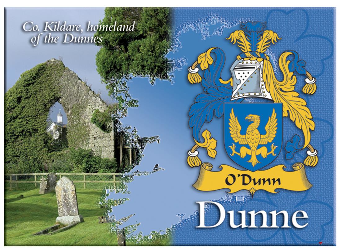 Byrne Irish Family Name Souvenir Metallic Picture Fridge Magnet Irish Gift