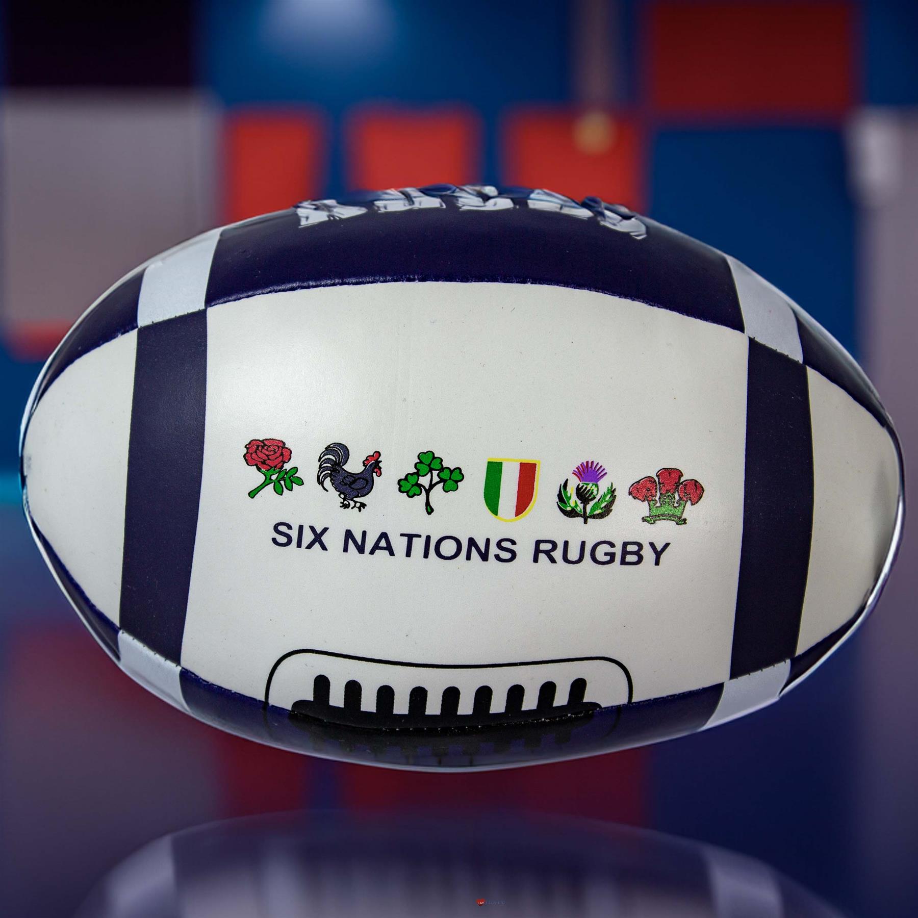 Mini Rugby Ball weich kinderfreundlich, schottische Flaggen, Distel und Tartan Designs - Bild 7 von 21