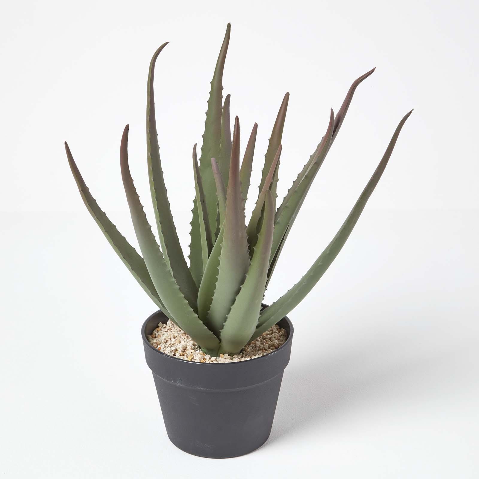 Artificial Succulent Plant Cactus/Cacti in Decorative Pot For Home/Office Décor - Picture 25 of 200