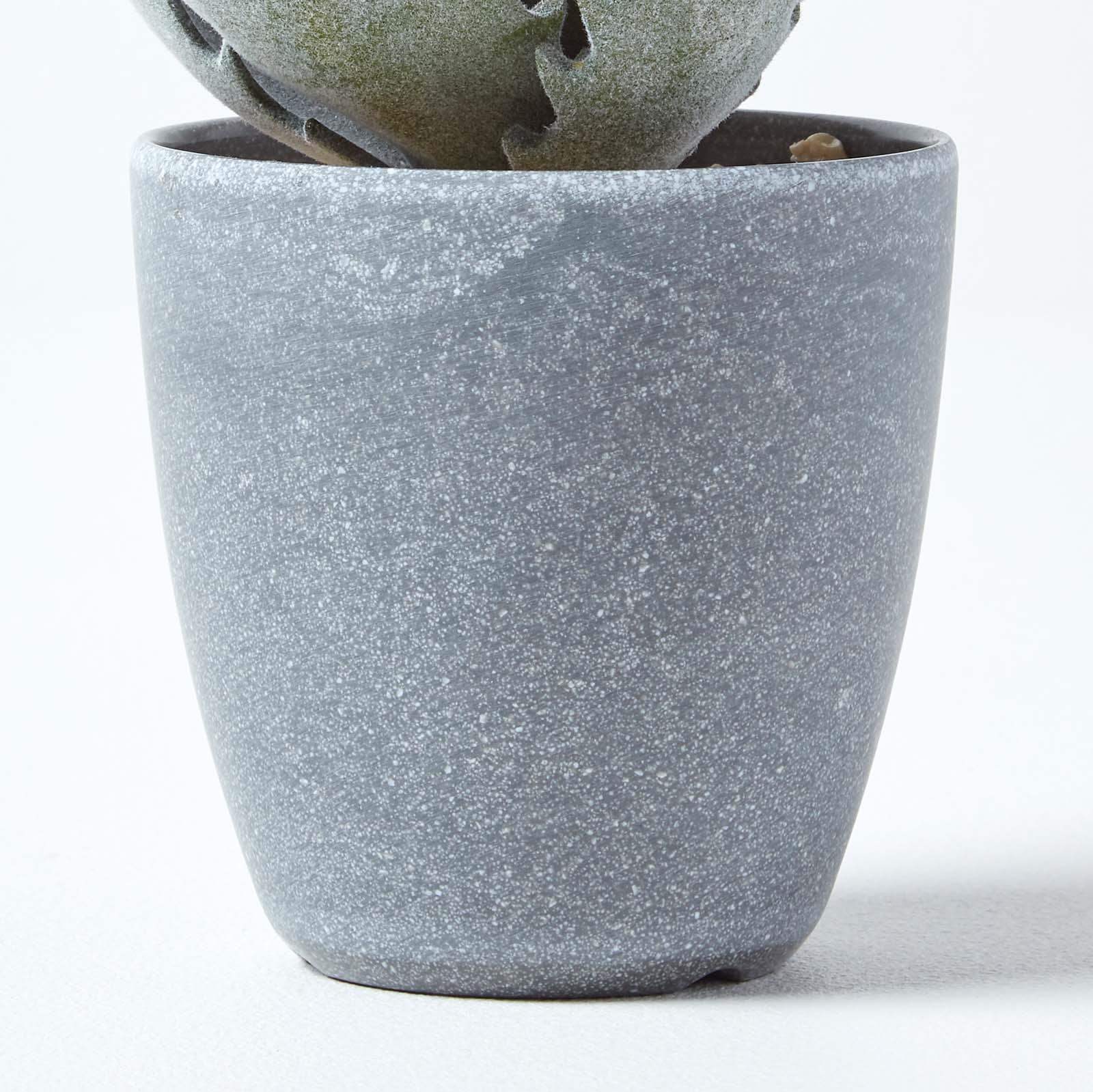Artificial Succulent Plant Cactus/Cacti in Decorative Pot For Home/Office Décor - Picture 181 of 200