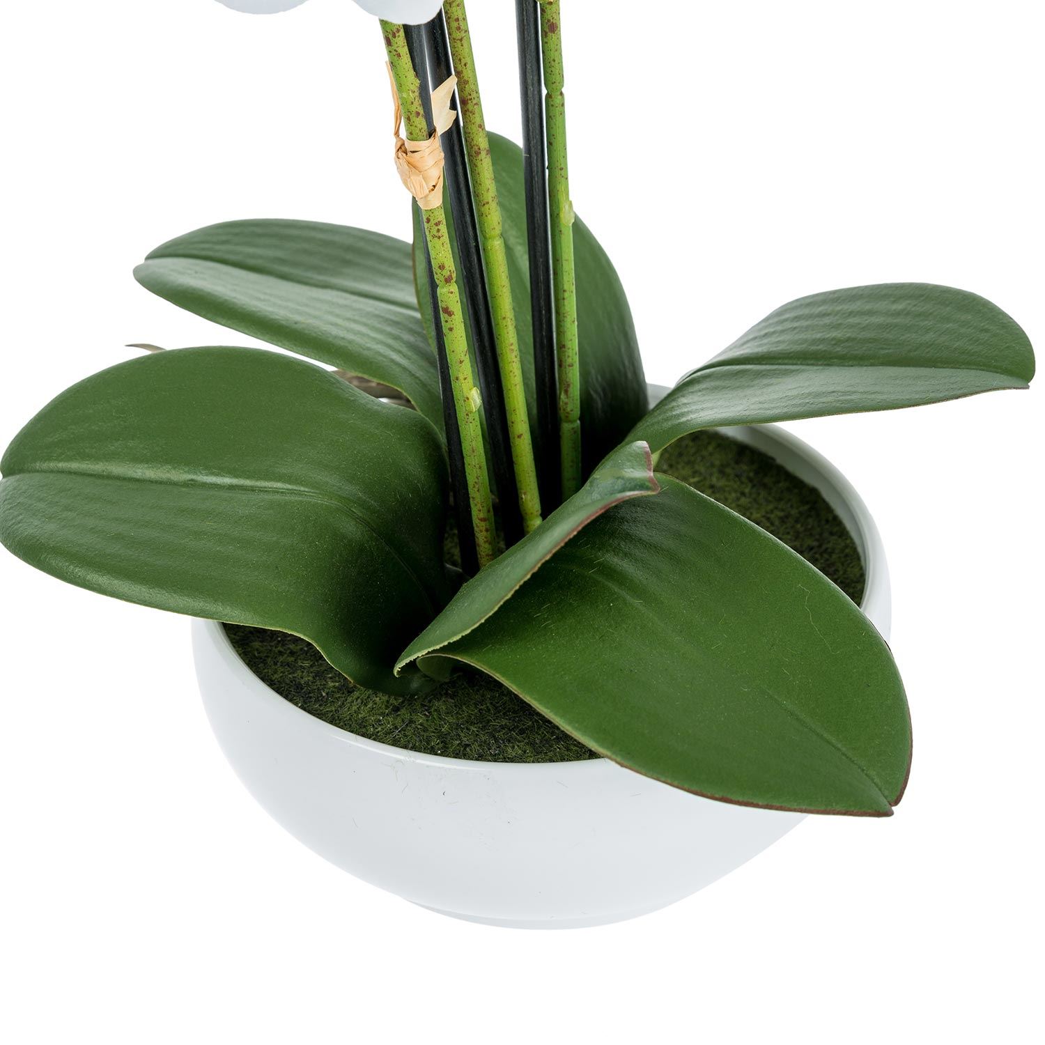 Artificial Phalaenopsis Orchid Flower with Lifelike Leaves in