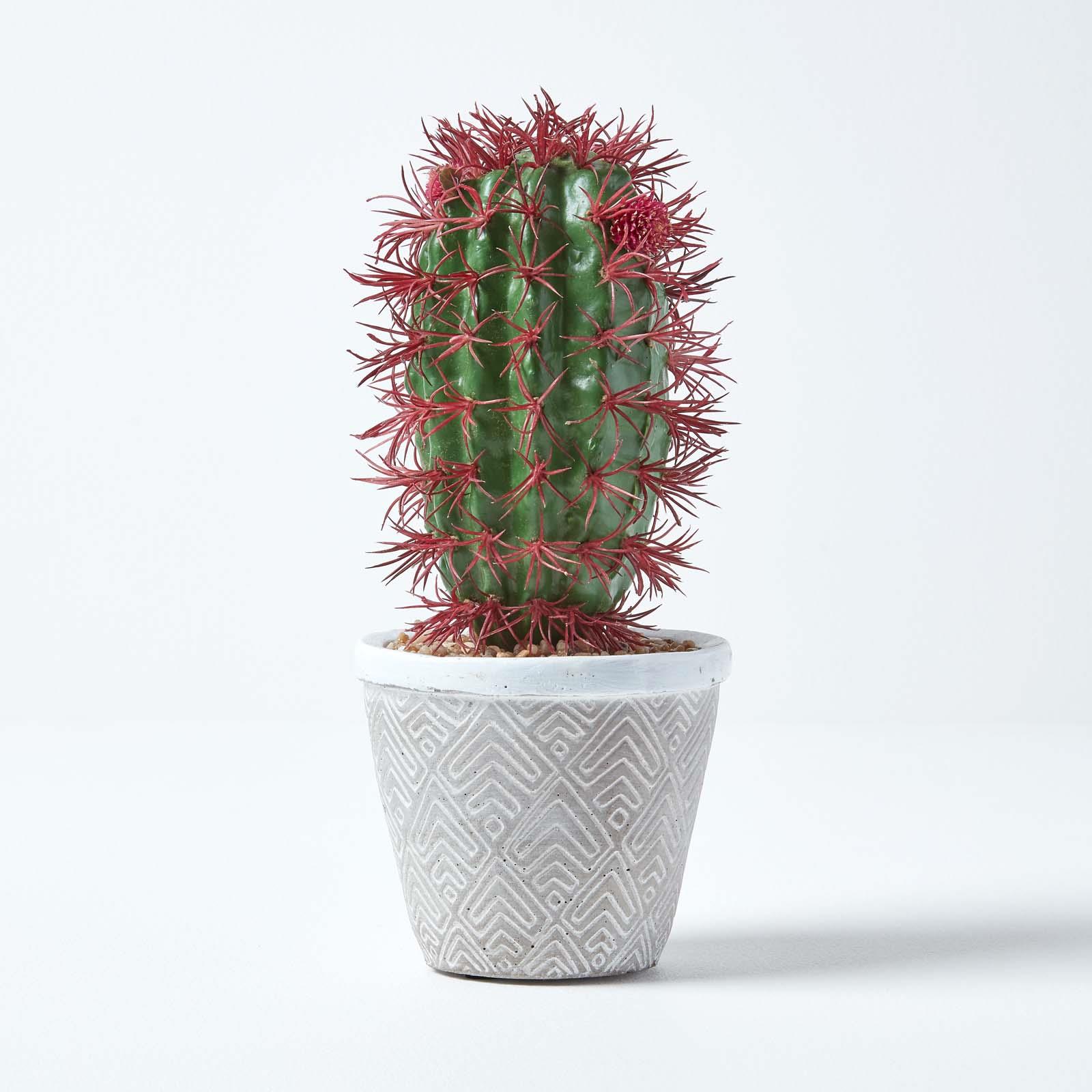 Artificial Succulent Plant Cactus/Cacti in Decorative Pot For Home/Office Décor - Picture 46 of 200