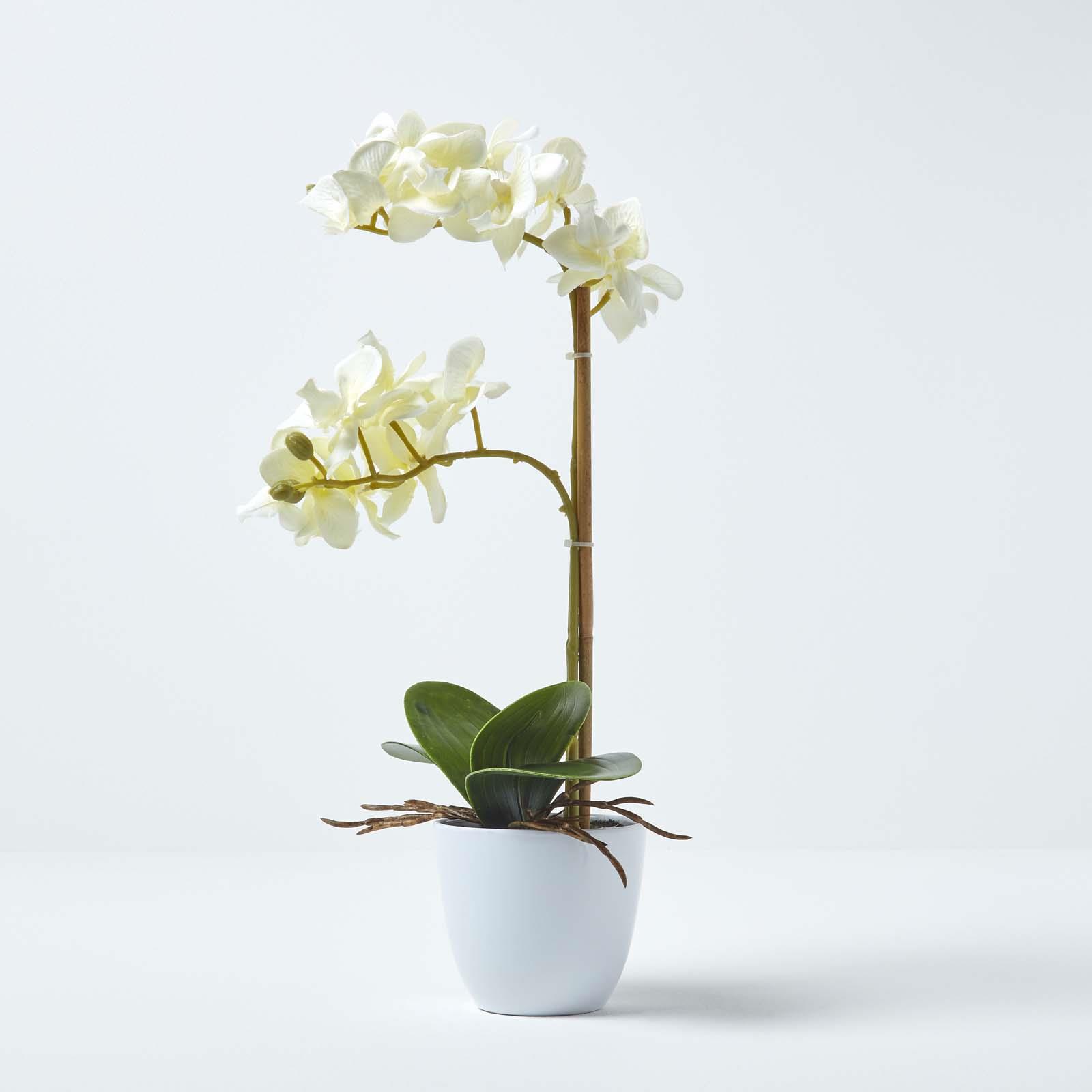 Artificial Phalaenopsis Orchid Flower with Lifelike Leaves in