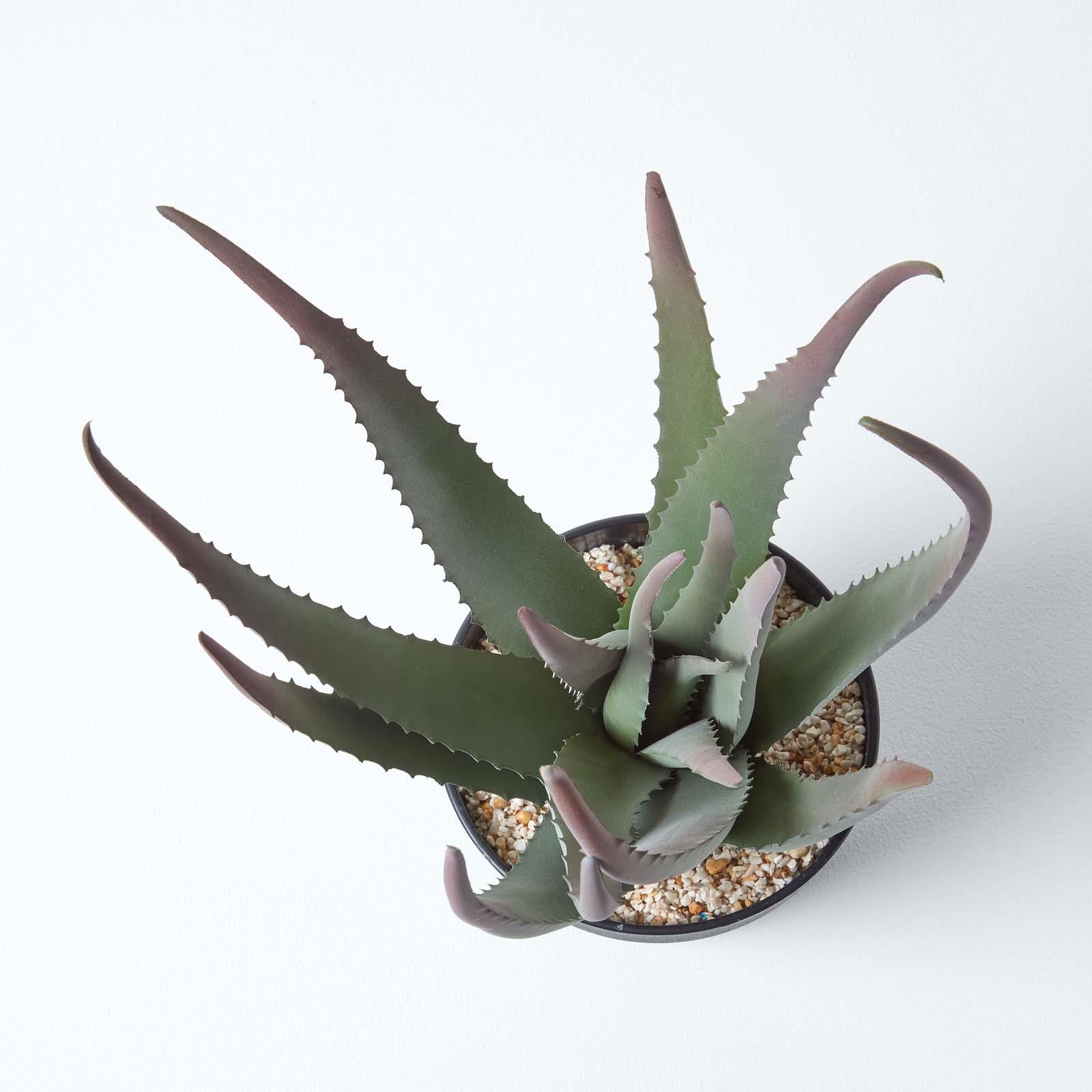 Artificial Succulent Plant Cactus/Cacti in Decorative Pot For Home/Office Décor - Picture 27 of 200