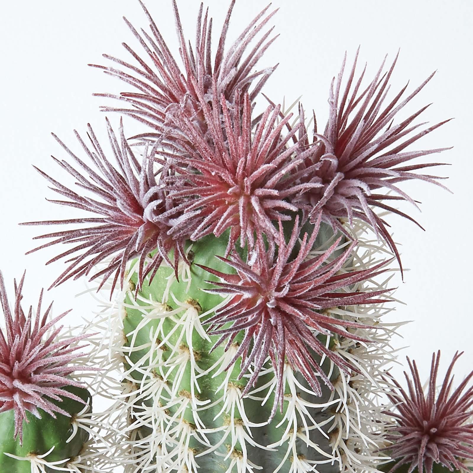 Artificial Succulent Plant Cactus/Cacti in Decorative Pot For Home/Office Décor - Picture 107 of 200