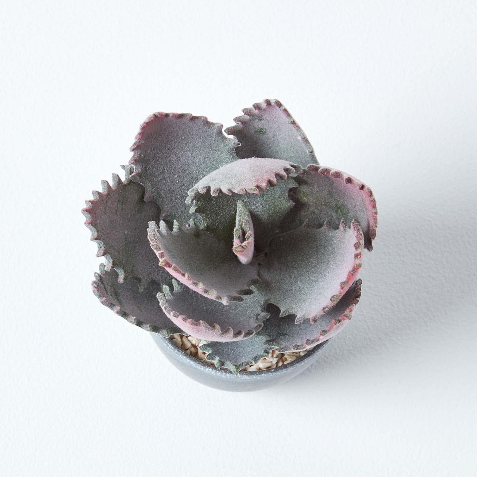 Artificial Succulent Plant Cactus/Cacti in Decorative Pot For Home/Office Décor - Picture 180 of 200