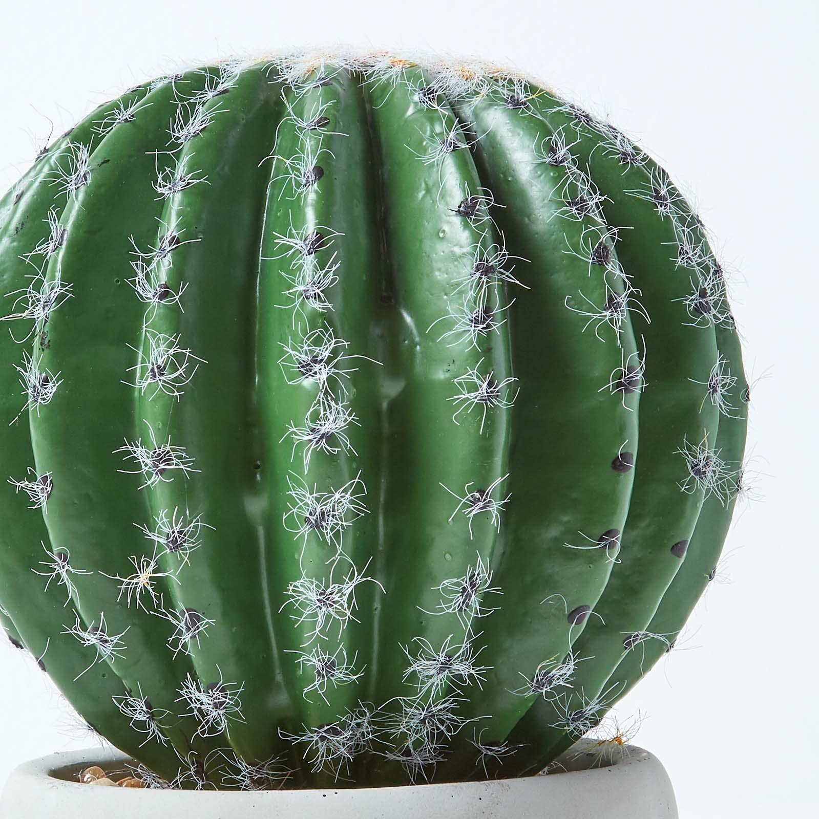 Artificial Succulent Plant Cactus/Cacti in Decorative Pot For Home/Office Décor - Picture 89 of 200