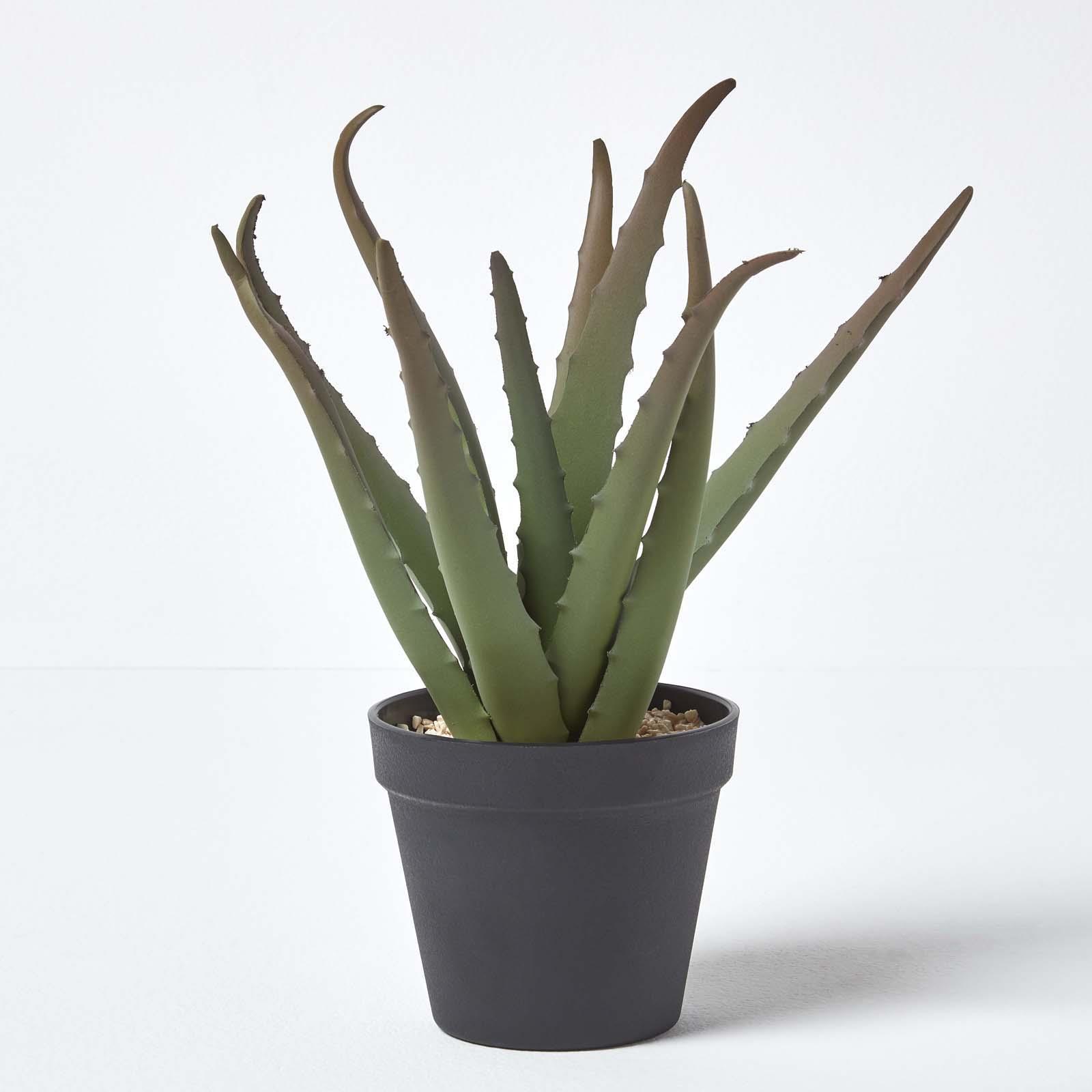 Artificial Succulent Plant Cactus/Cacti in Decorative Pot For Home/Office Décor - Picture 15 of 200