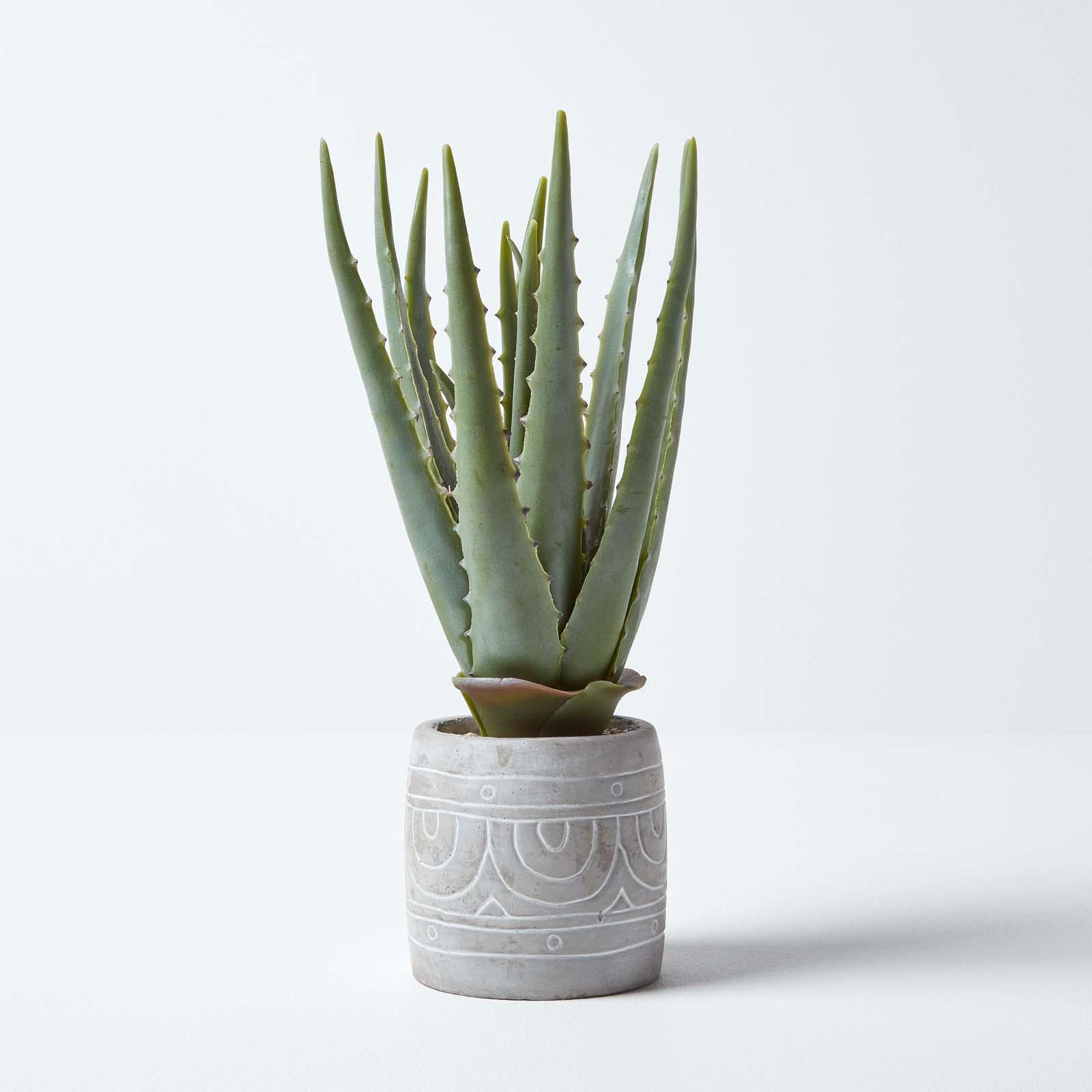 Artificial Succulent Plant Cactus/Cacti in Decorative Pot For Home/Office Décor - Picture 24 of 200