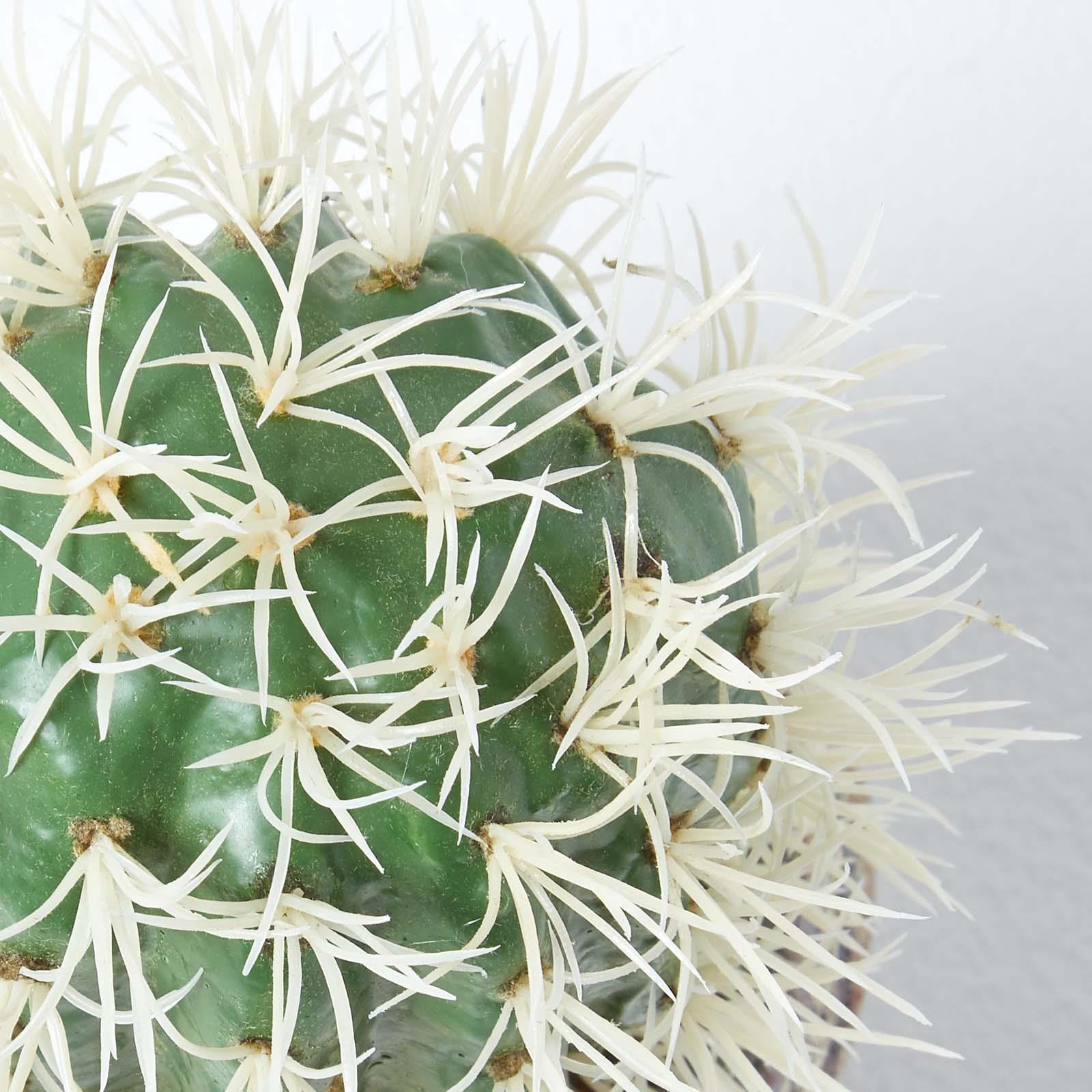 Artificial Succulent Plant Cactus/Cacti in Decorative Pot For Home/Office Décor - Picture 62 of 200