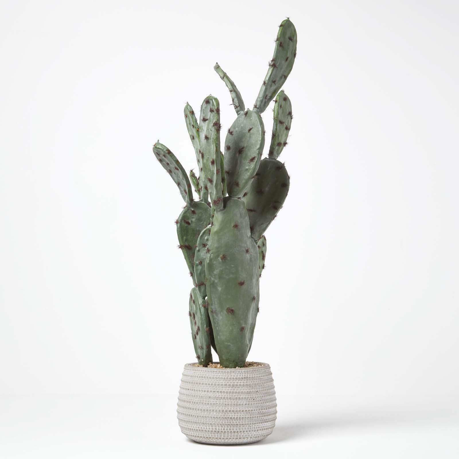 Artificial Succulent Plant Cactus/Cacti in Decorative Pot For Home/Office Décor - Picture 153 of 200