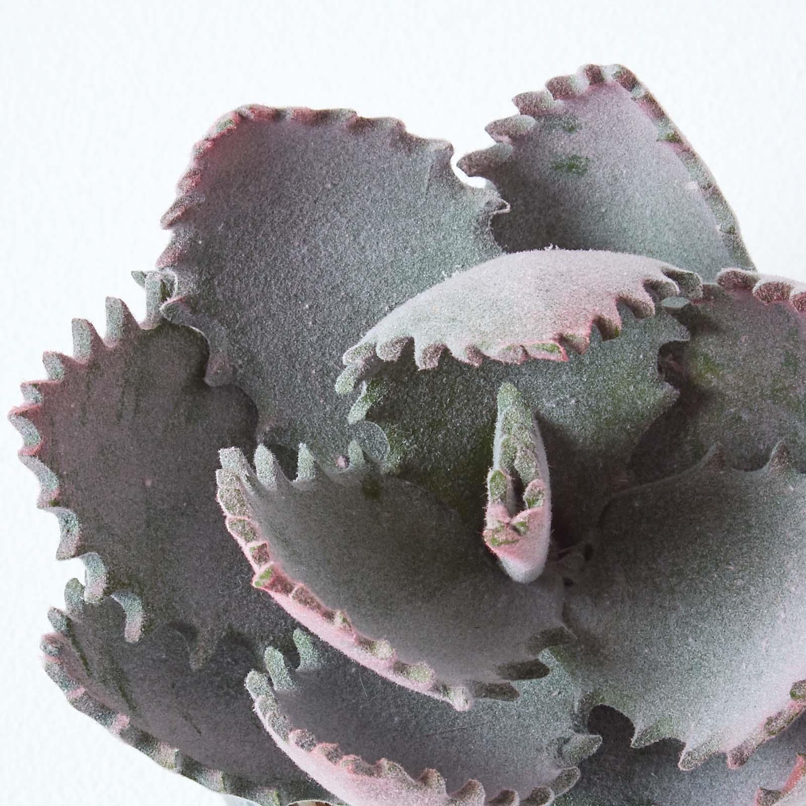 Artificial Succulent Plant Cactus/Cacti in Decorative Pot For Home/Office Décor - Picture 182 of 200