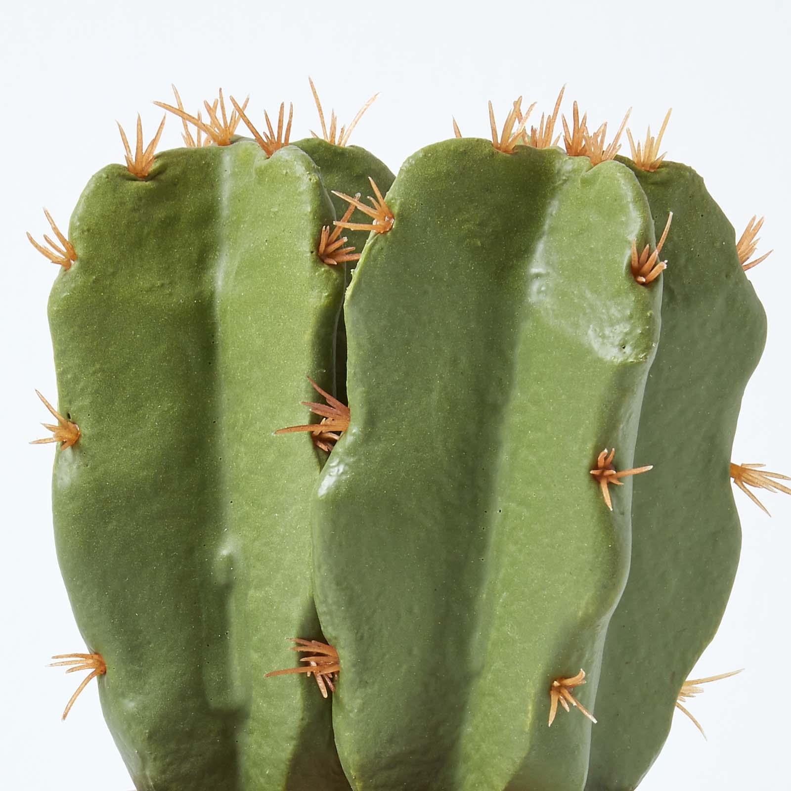 Artificial Succulent Plant Cactus/Cacti in Decorative Pot For Home/Office Décor - Picture 114 of 200