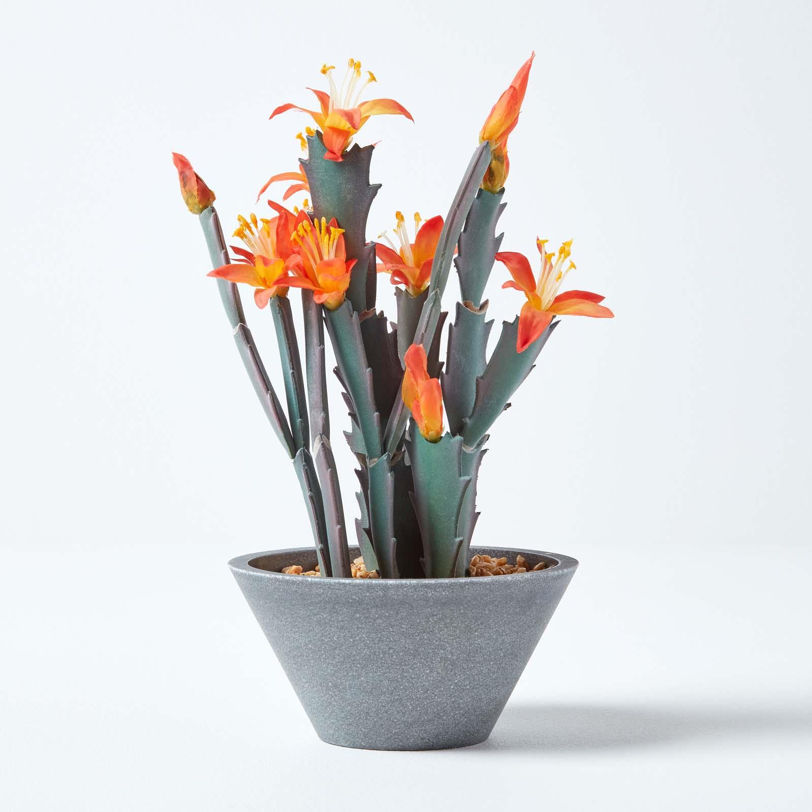 Artificial Succulent Plant Cactus/Cacti in Decorative Pot For Home/Office Décor - Picture 132 of 200