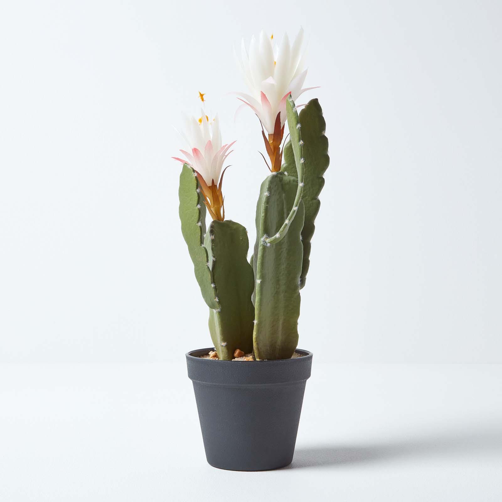 Artificial Succulent Plant Cactus/Cacti in Decorative Pot For Home/Office Décor - Picture 191 of 200