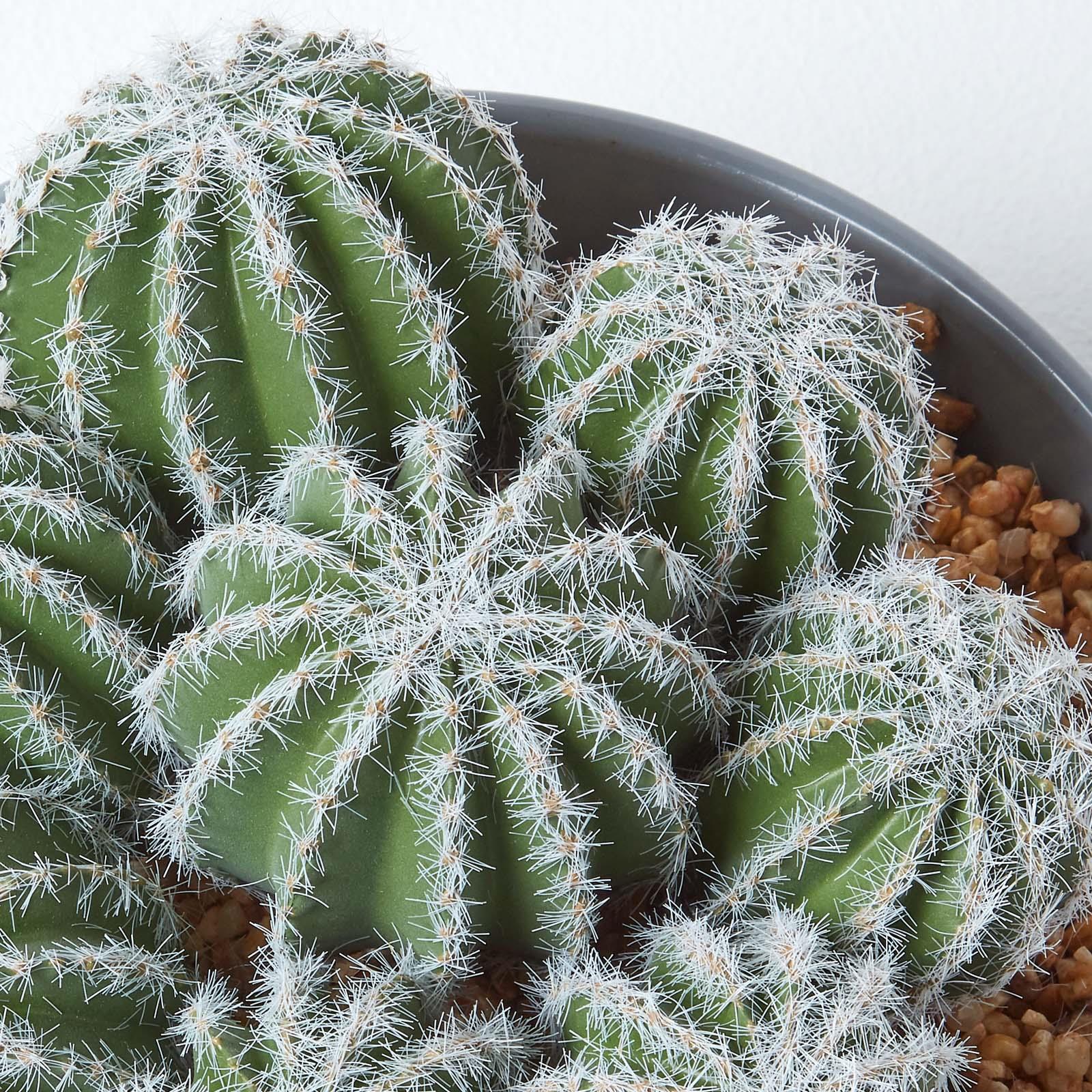 Artificial Succulent Plant Cactus/Cacti in Decorative Pot For Home/Office Décor - Picture 82 of 200