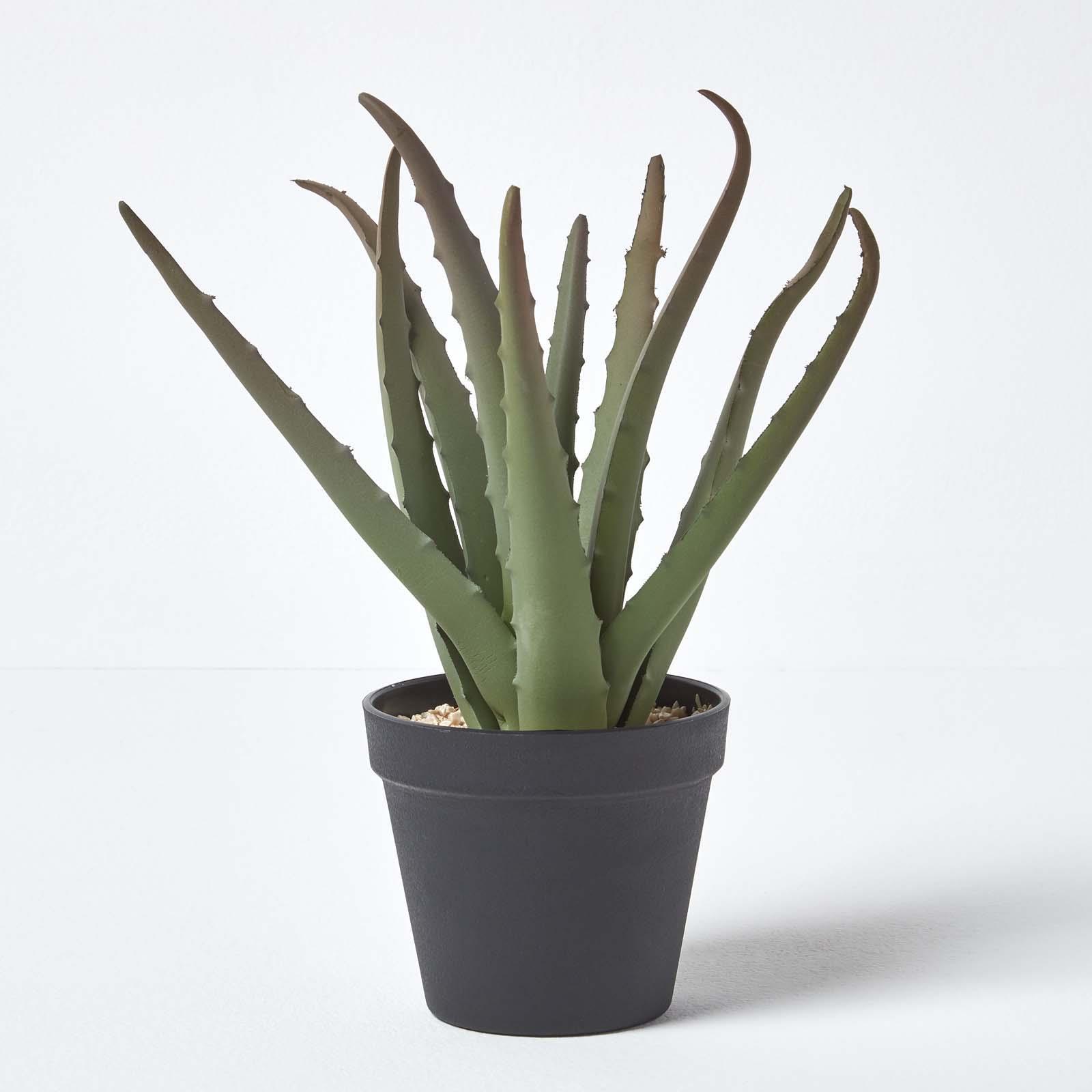Artificial Succulent Plant Cactus/Cacti in Decorative Pot For Home/Office Décor - Picture 19 of 200