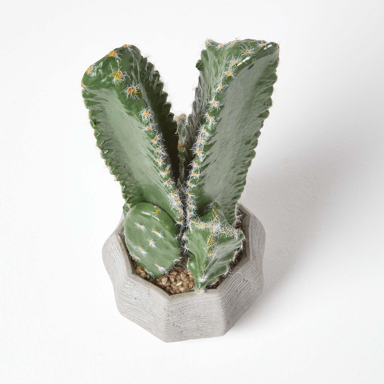 Artificial Succulent Plant Cactus/Cacti in Decorative Pot For Home/Office Décor - Picture 127 of 200
