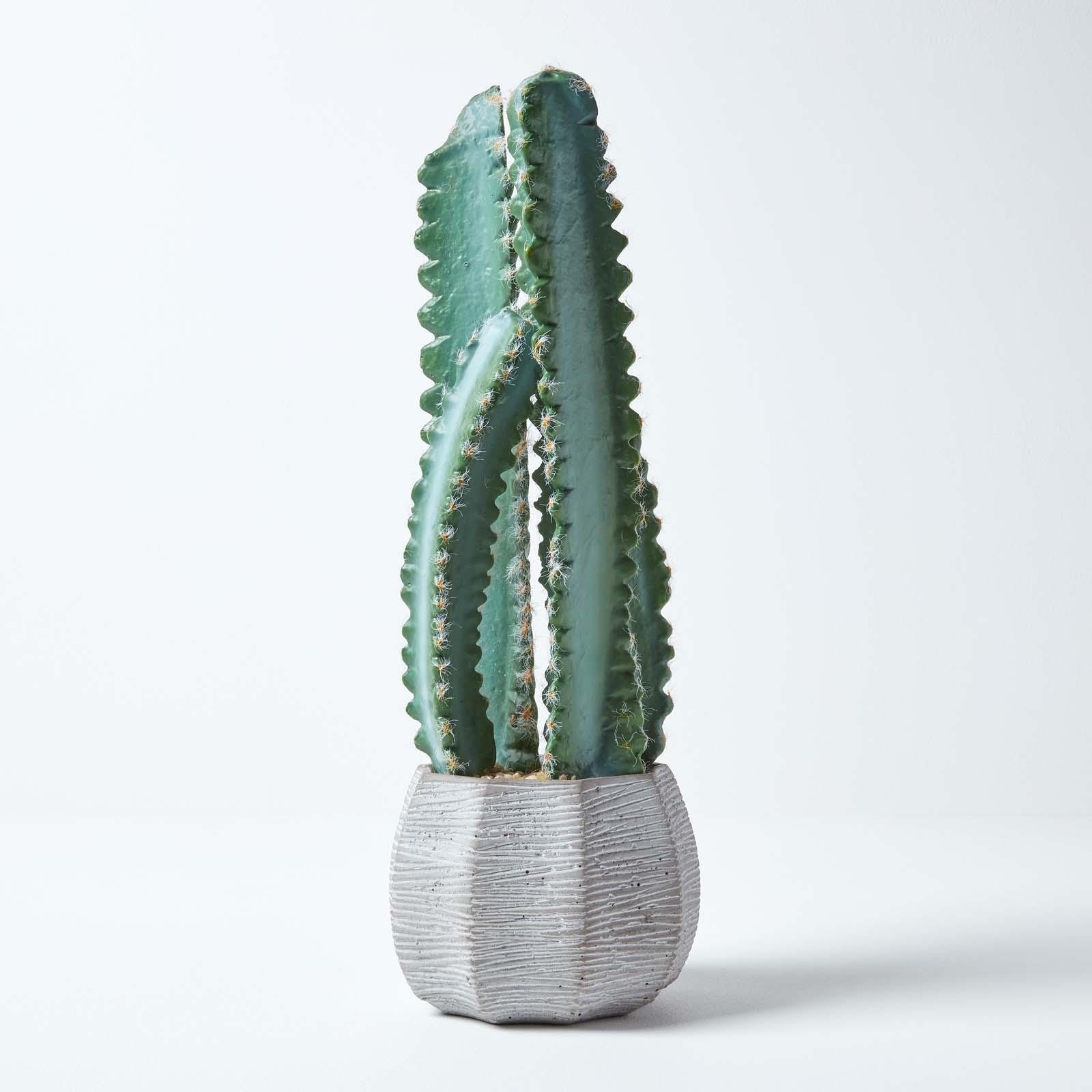 Artificial Succulent Plant Cactus/Cacti in Decorative Pot For Home/Office Décor - Picture 123 of 200