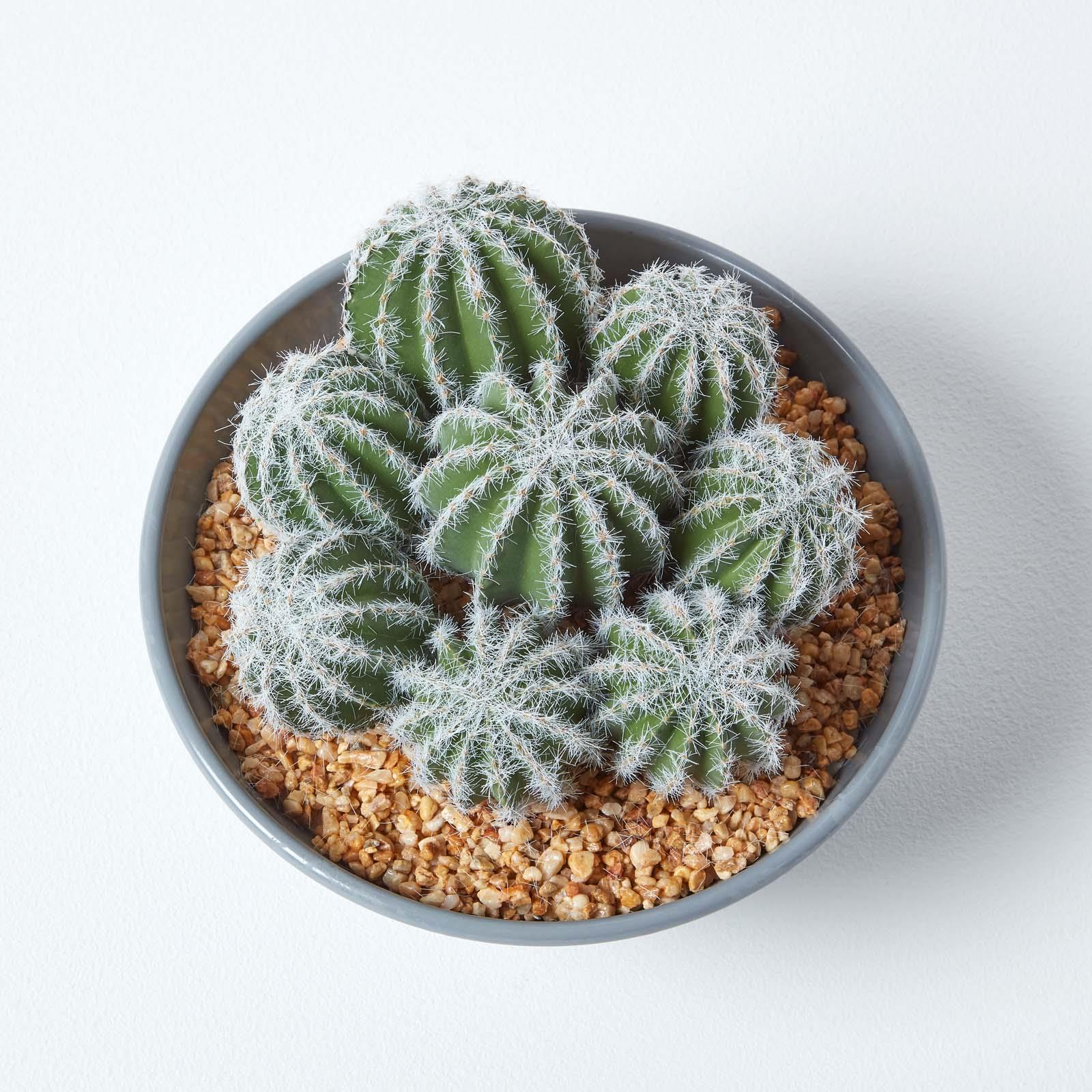Artificial Succulent Plant Cactus/Cacti in Decorative Pot For Home/Office Décor - Picture 80 of 200