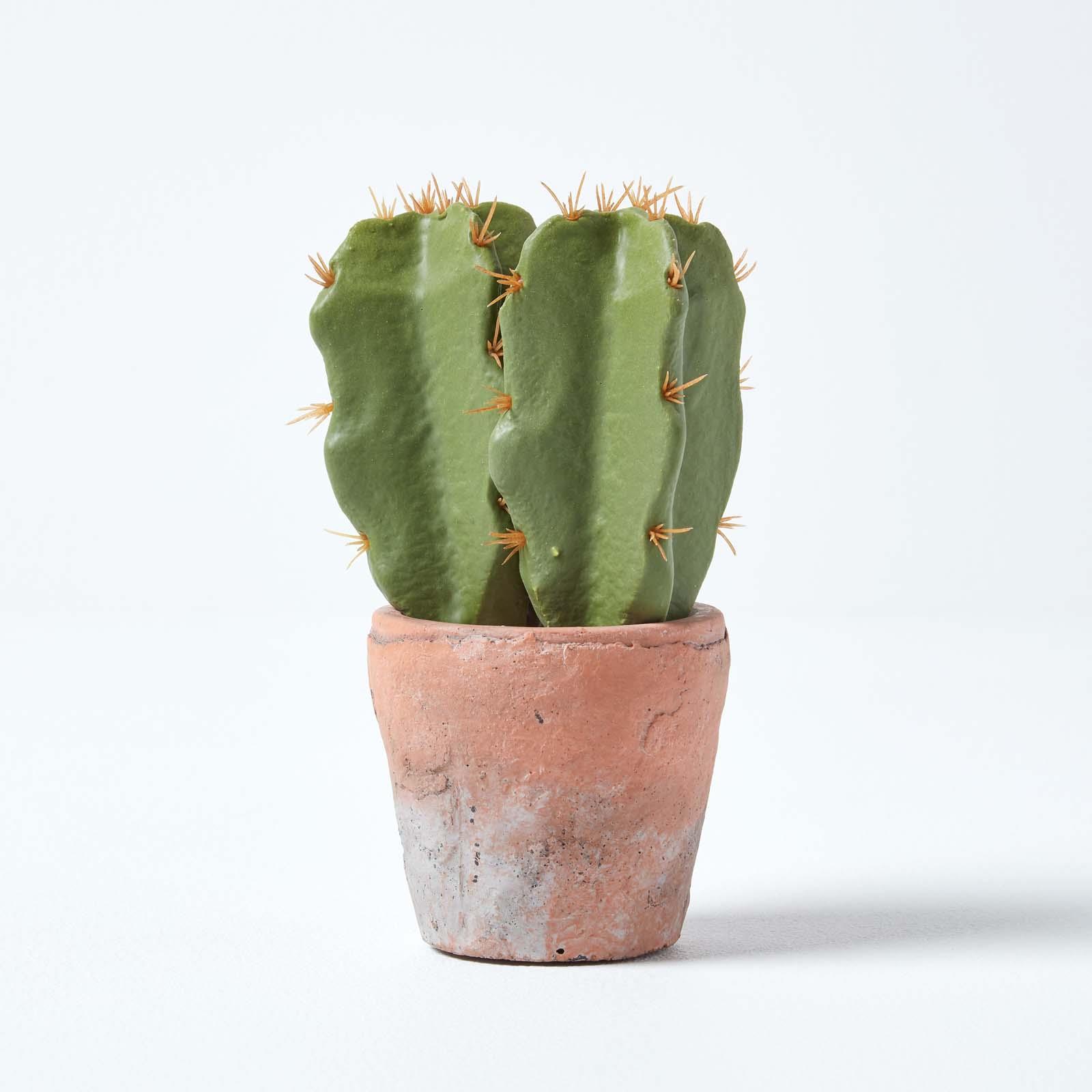 Artificial Succulent Plant Cactus/Cacti in Decorative Pot For Home/Office Décor - Picture 115 of 200