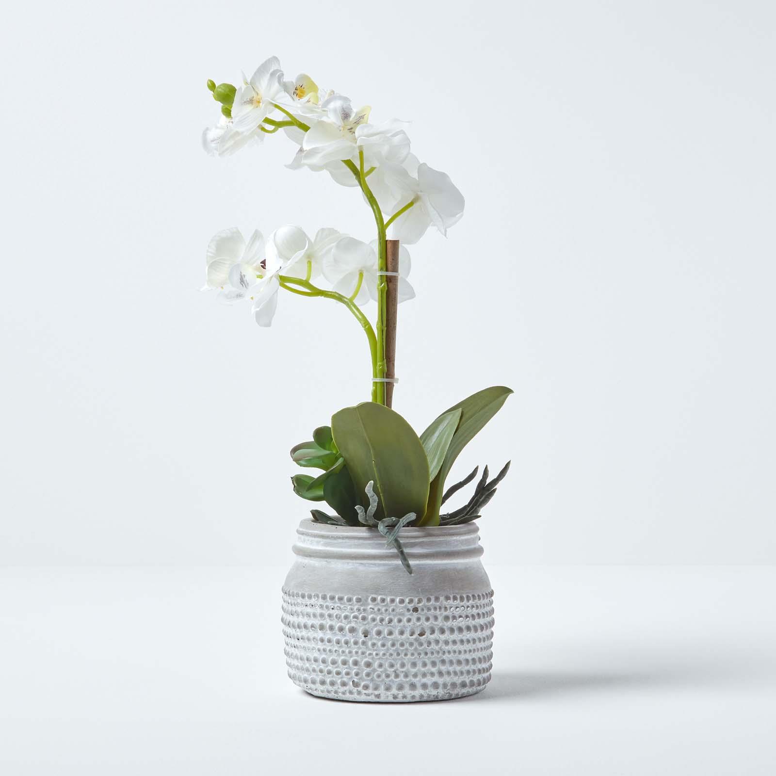 Artificial Phalaenopsis Orchid Flower with Lifelike Leaves in