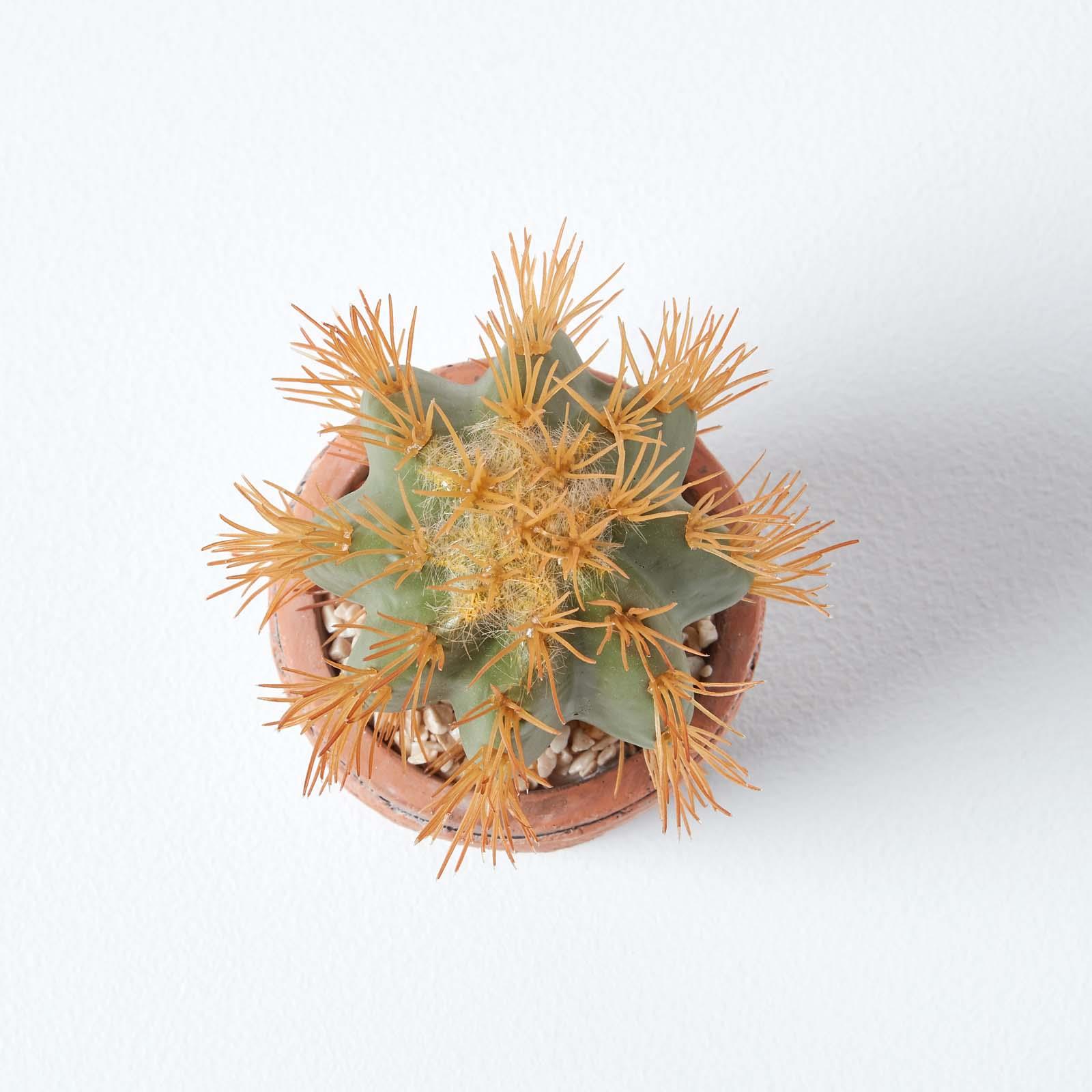 Artificial Succulent Plant Cactus/Cacti in Decorative Pot For Home/Office Décor - Picture 73 of 200
