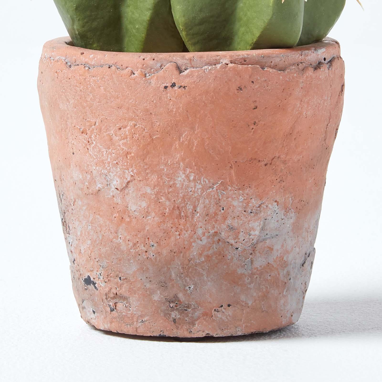 Artificial Succulent Plant Cactus/Cacti in Decorative Pot For Home/Office Décor - Picture 113 of 200