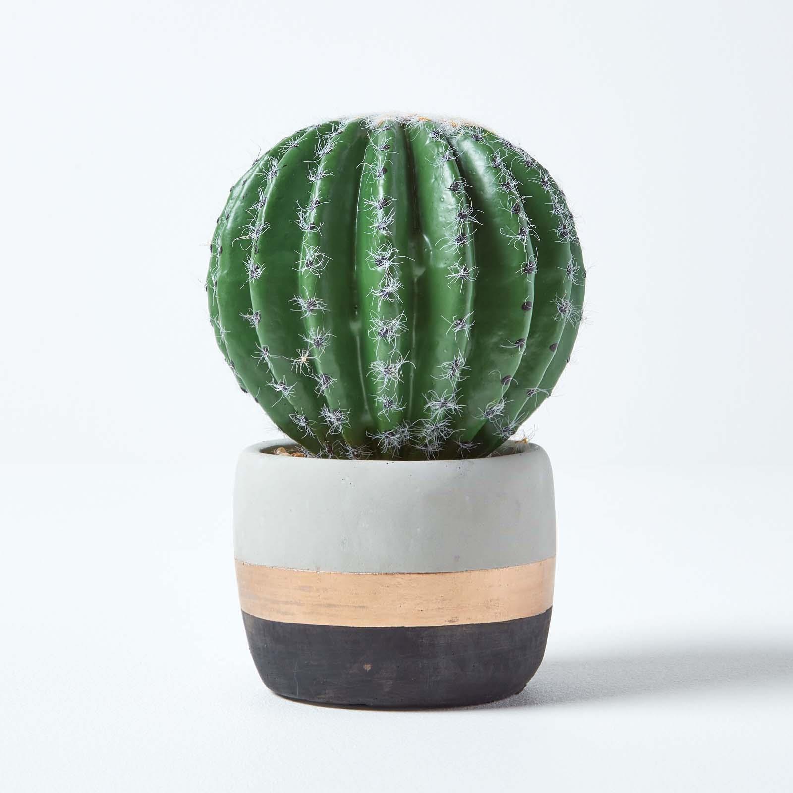 Artificial Succulent Plant Cactus/Cacti in Decorative Pot For Home/Office Décor - Picture 85 of 200