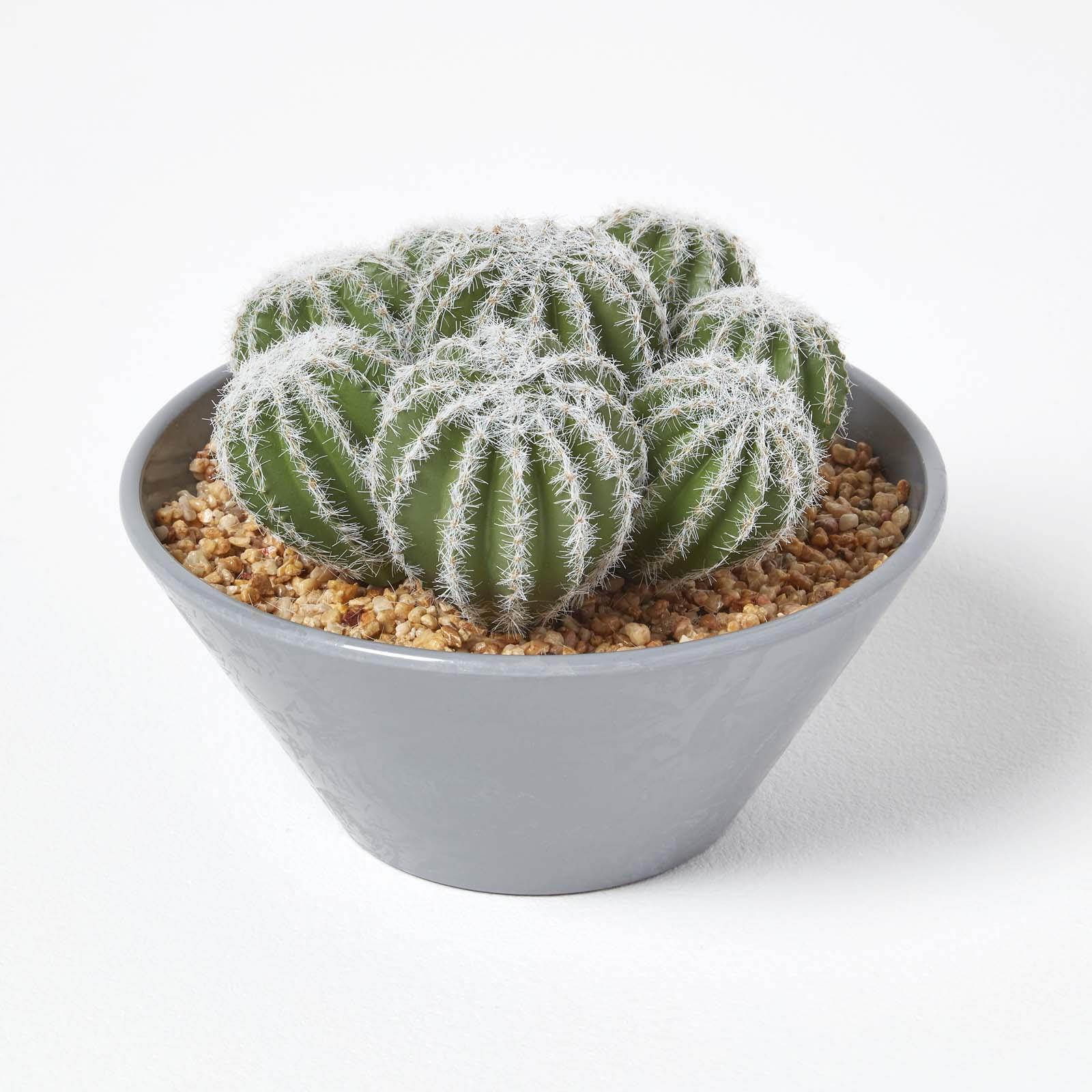Artificial Succulent Plant Cactus/Cacti in Decorative Pot For Home/Office Décor - Picture 78 of 200