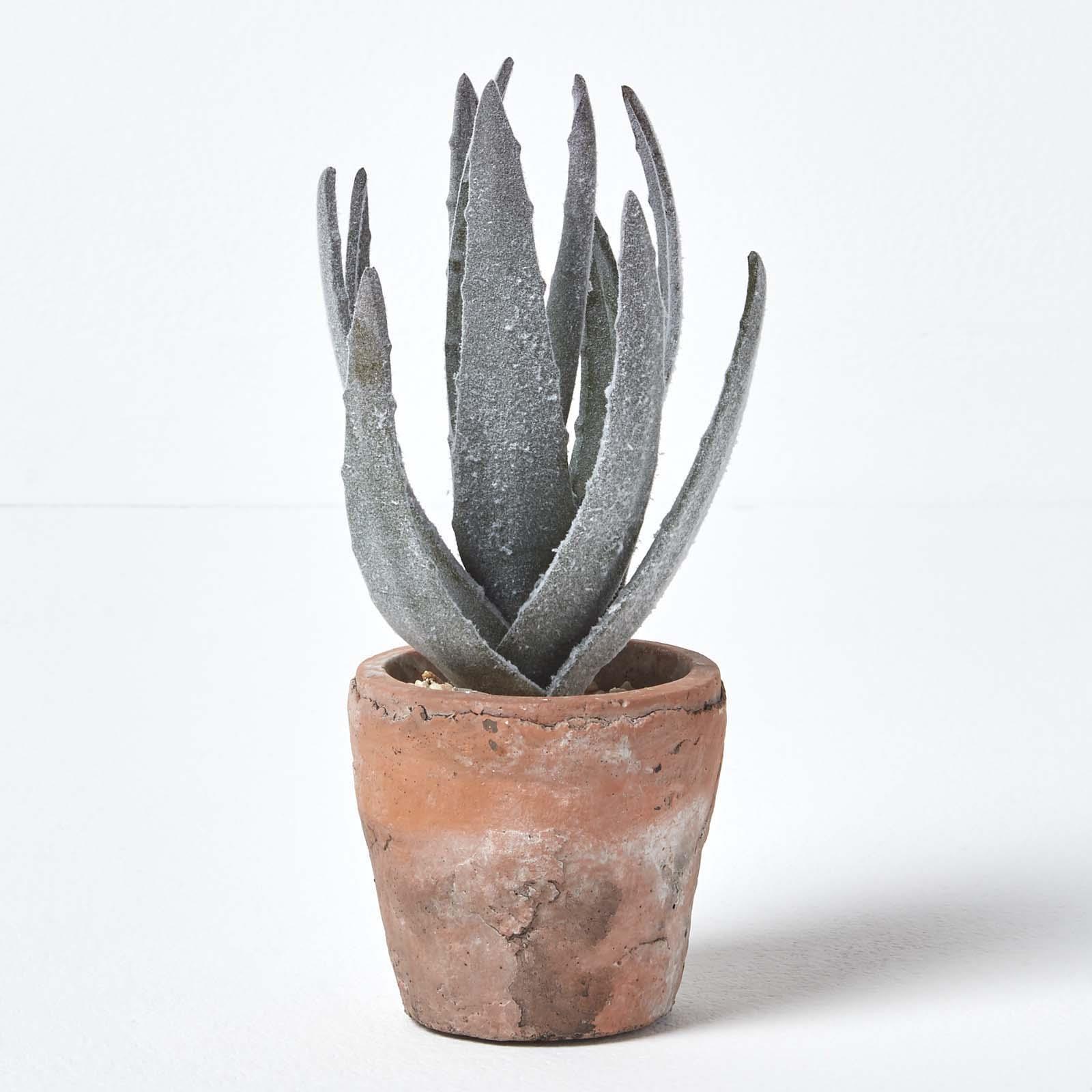 Artificial Succulent Plant Cactus/Cacti in Decorative Pot For Home/Office Décor - Picture 12 of 200