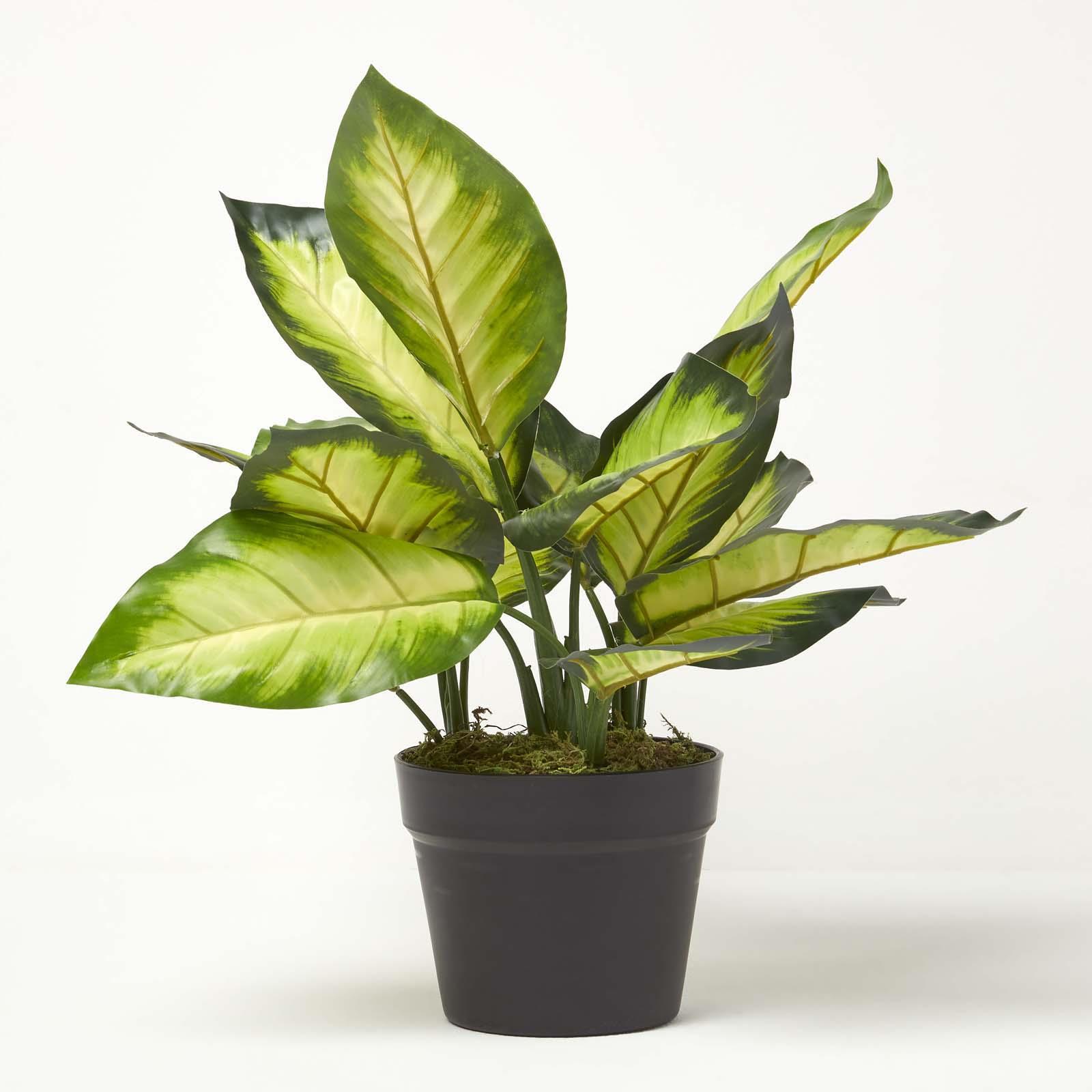 Realistic Artificial Palm Tree Ficus Plant Tropical Potted Plants Indoor Outdoor - Picture 18 of 67