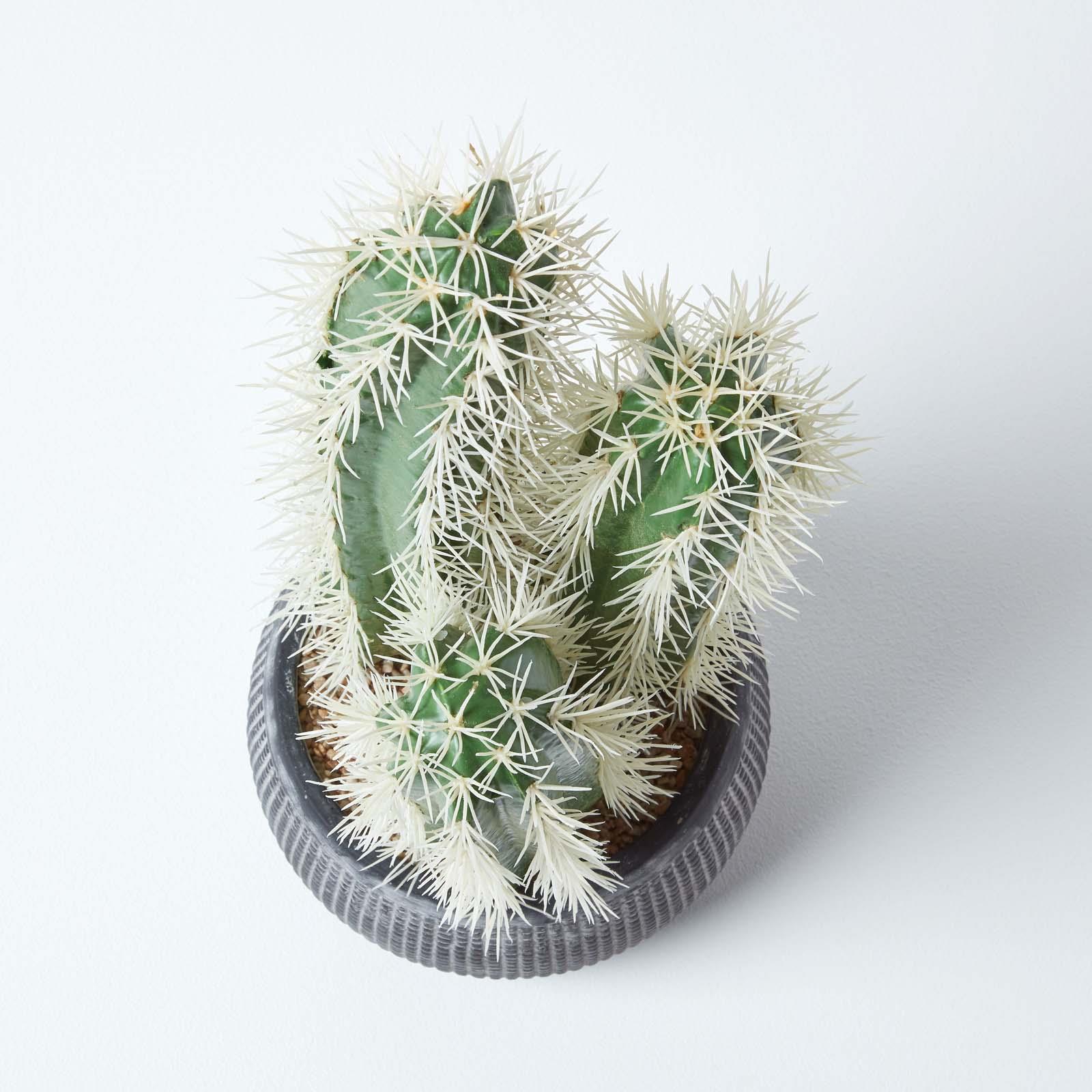 Artificial Succulent Plant Cactus/Cacti in Decorative Pot For Home/Office Décor - Picture 139 of 200